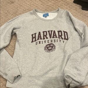 Champion Gray Harvard University Sweatshirt